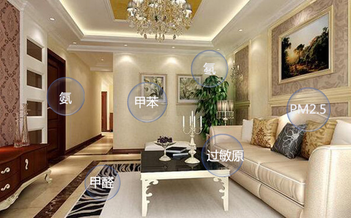 1597926466409443.jpeg 1.jpg